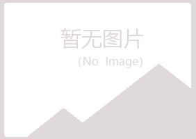 嘉峪关忆山工程有限公司